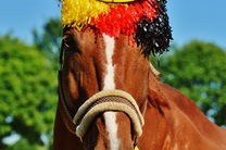 米兰体育-希腊男篮在欧洲锦标赛中奋勇争冠，续写辉煌传统，希腊男篮2021奥运会赛程