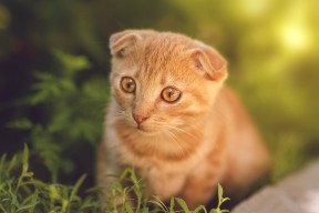 米兰登录入口-数字化技术将如何改变乒乓球运动未来