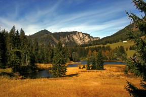 -中国女篮持续调整战术结构增强稳定性，中国女篮持续调整战术结构增强稳定性的原因