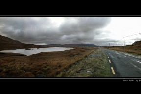 米兰登录入口-中国射击队老将新秀同台竞技成绩亮眼，2021中国射击队总教练