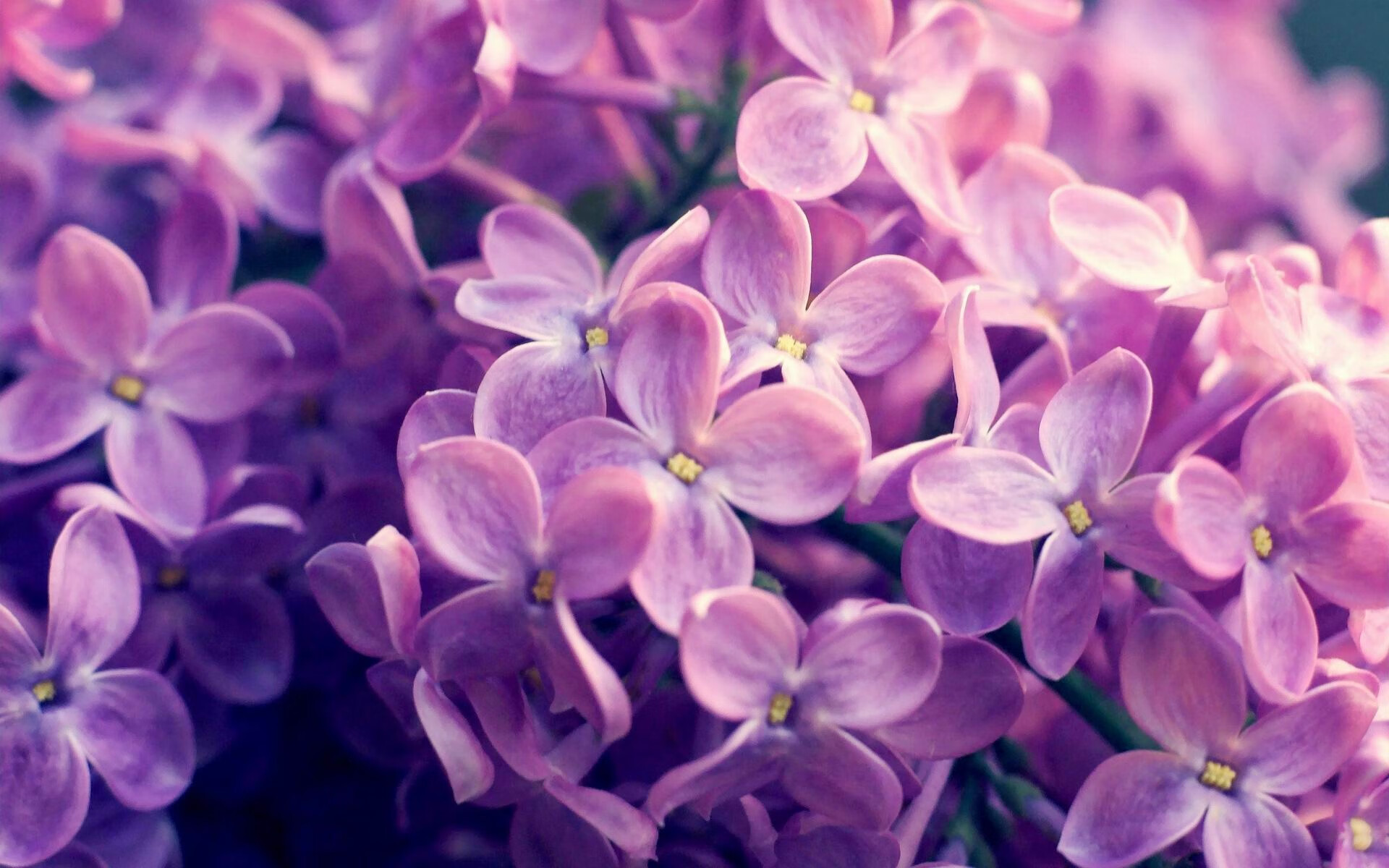 校园篮球联赛组织流程优化方案，校园篮球比赛活动流程