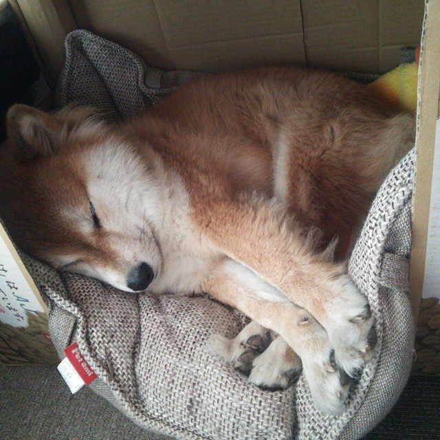 运动装备技术研发趋势,运动装备市场