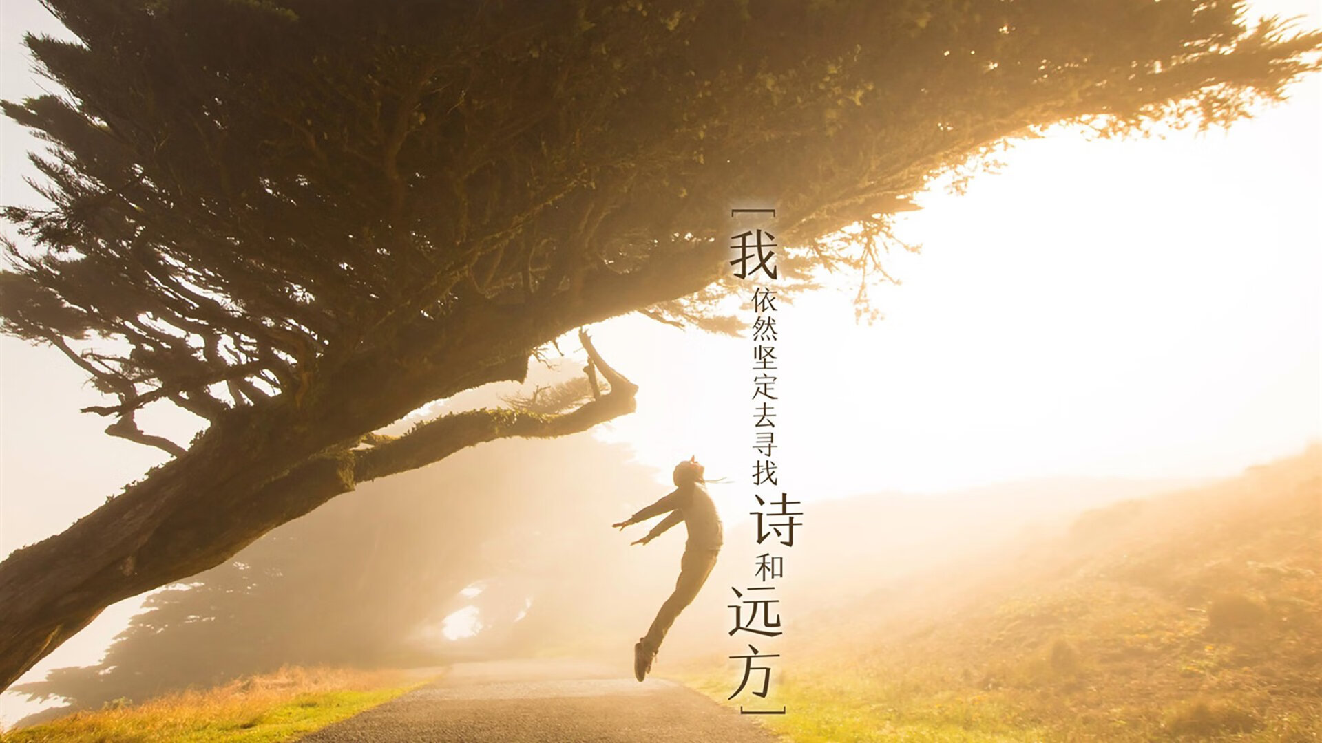 五大联赛中场球员数据表现与传球成功率解读,五大联赛中锋