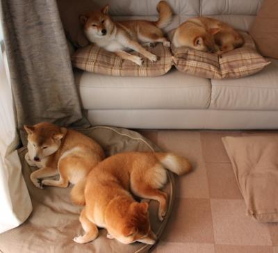 亚洲杯中国队晋级 球员配合日益默契,亚洲杯中国队球员资料