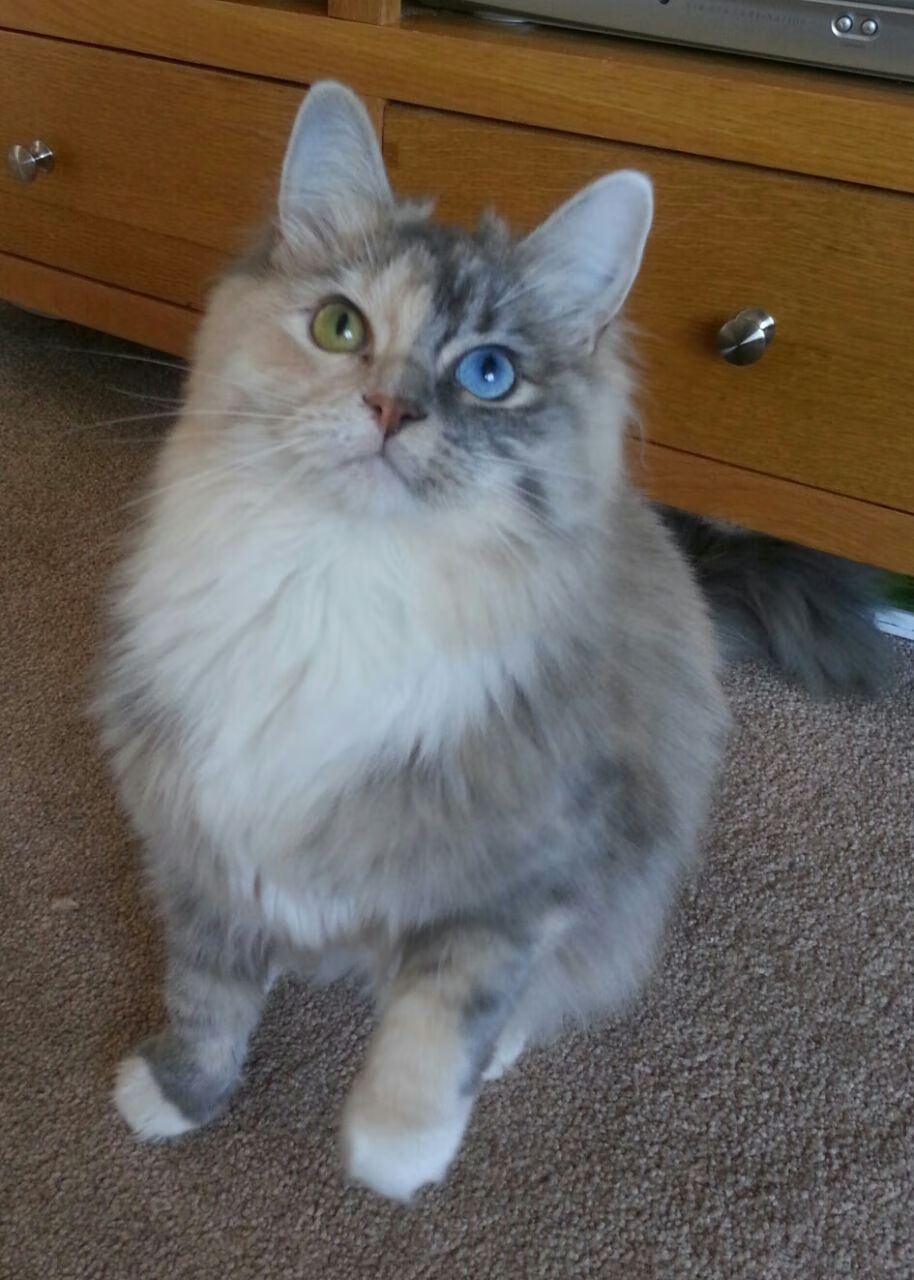 控卫防守视野如何影响全队轮转,控卫防守视野如何影响全队轮转状态