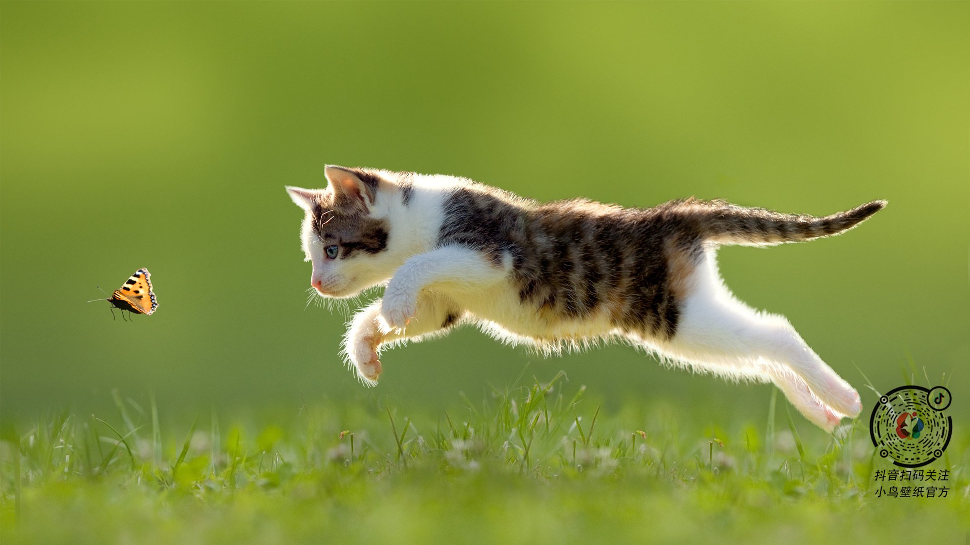 橄榄球进校园计划正式启动，橄榄球招生