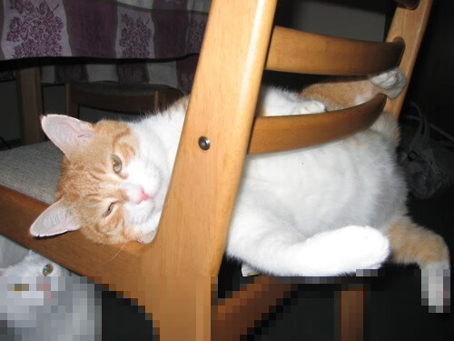 赛前动员强调必须保持饥饿感面对强敌不能有丝毫松懈，赛前动员大会发讲话